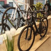 bikehaus-hoffenheim-bikes1